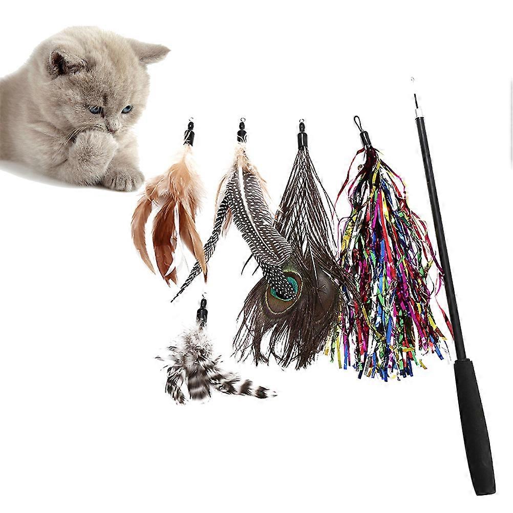 6pcs Cat Teaser Set with Pearl Heads – Interactive Training Wand for Cat Exercise and Bonding