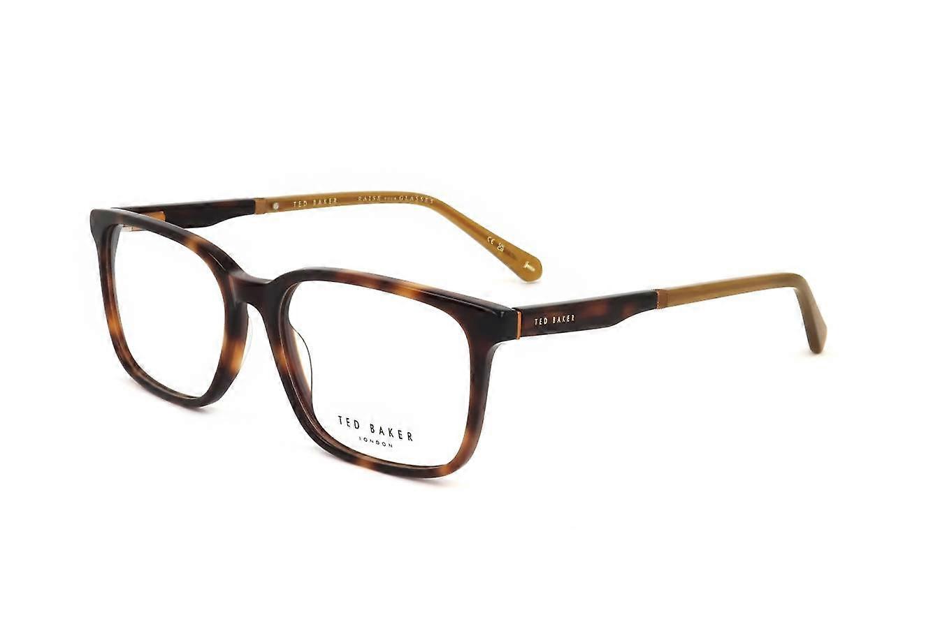 Eyewear Frames Ted Baker TB8249 106 TORTOISE 57/17/150 MAN