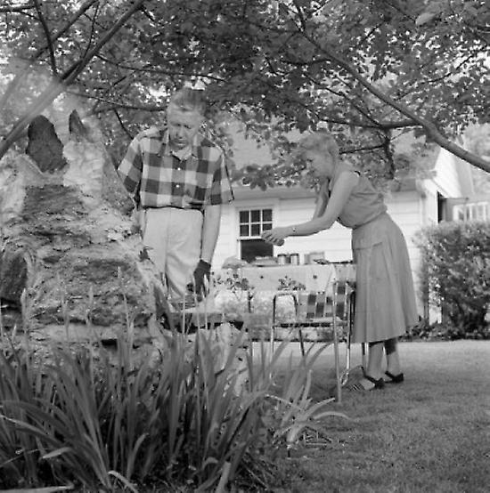 Senior couple having barbecue in backyard Poster