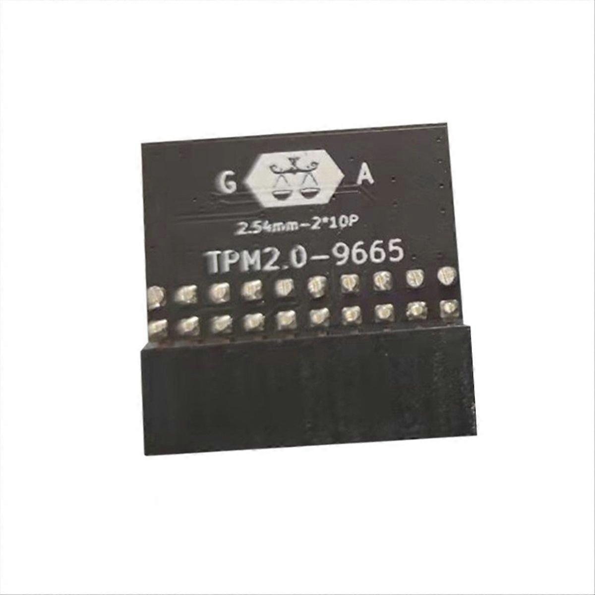 LPC 20Pin Protection Module for ASUS TPM-L R2.0/Gigabyte GC-TPM2.0