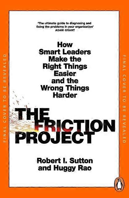 The Friction Project by Huggy Rao Paperback