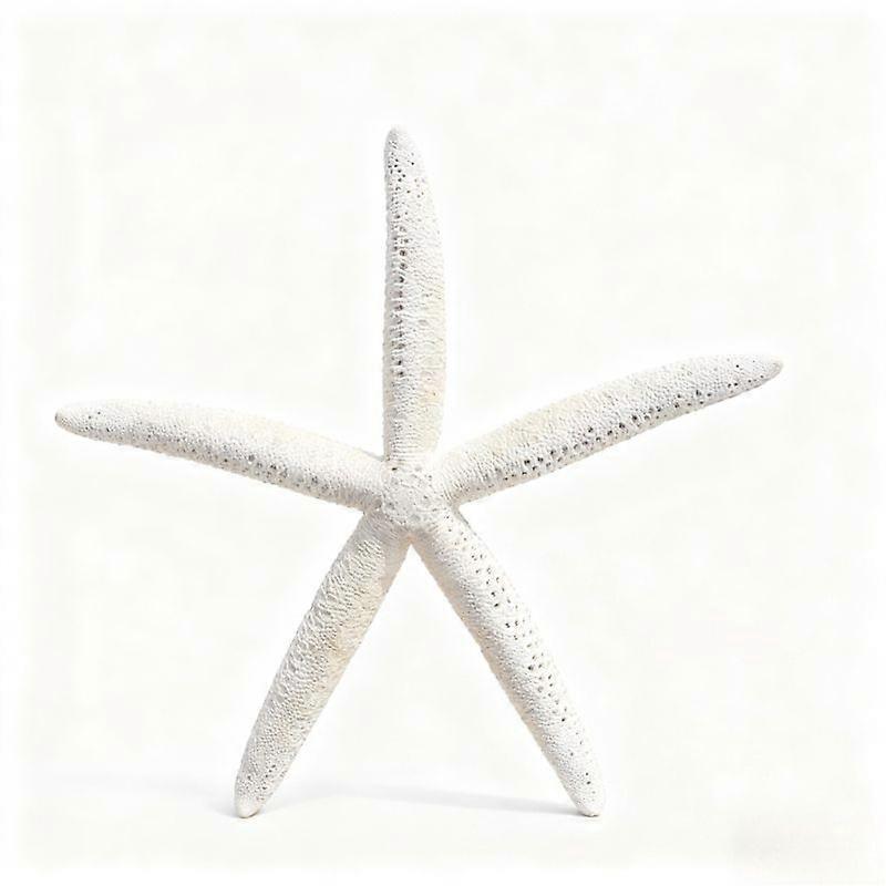 Finger Starfish Decorative Shell For Aquarium And Home Decor