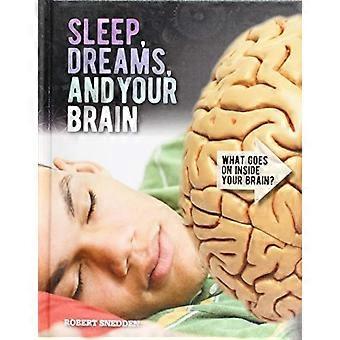 Sonno, sogni e il tuo cervello