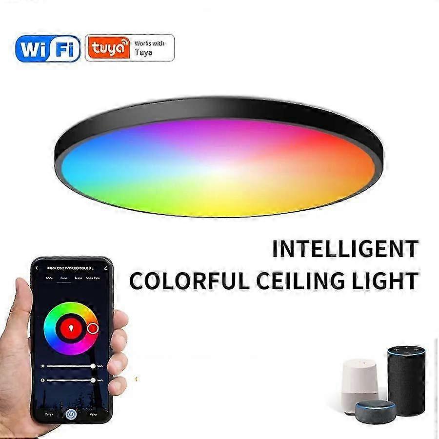 RGBCW 24W 30cm WiFi Ceiling Light