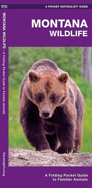 Montana Wildlife A Folding Pocket Guide To Familiar Animals by James Kavanagh Book