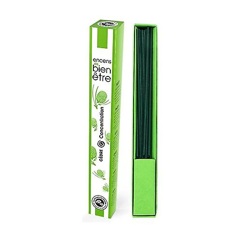 Cedar 30 units (Scented woods)