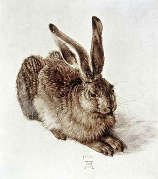 The Young Hare Poster