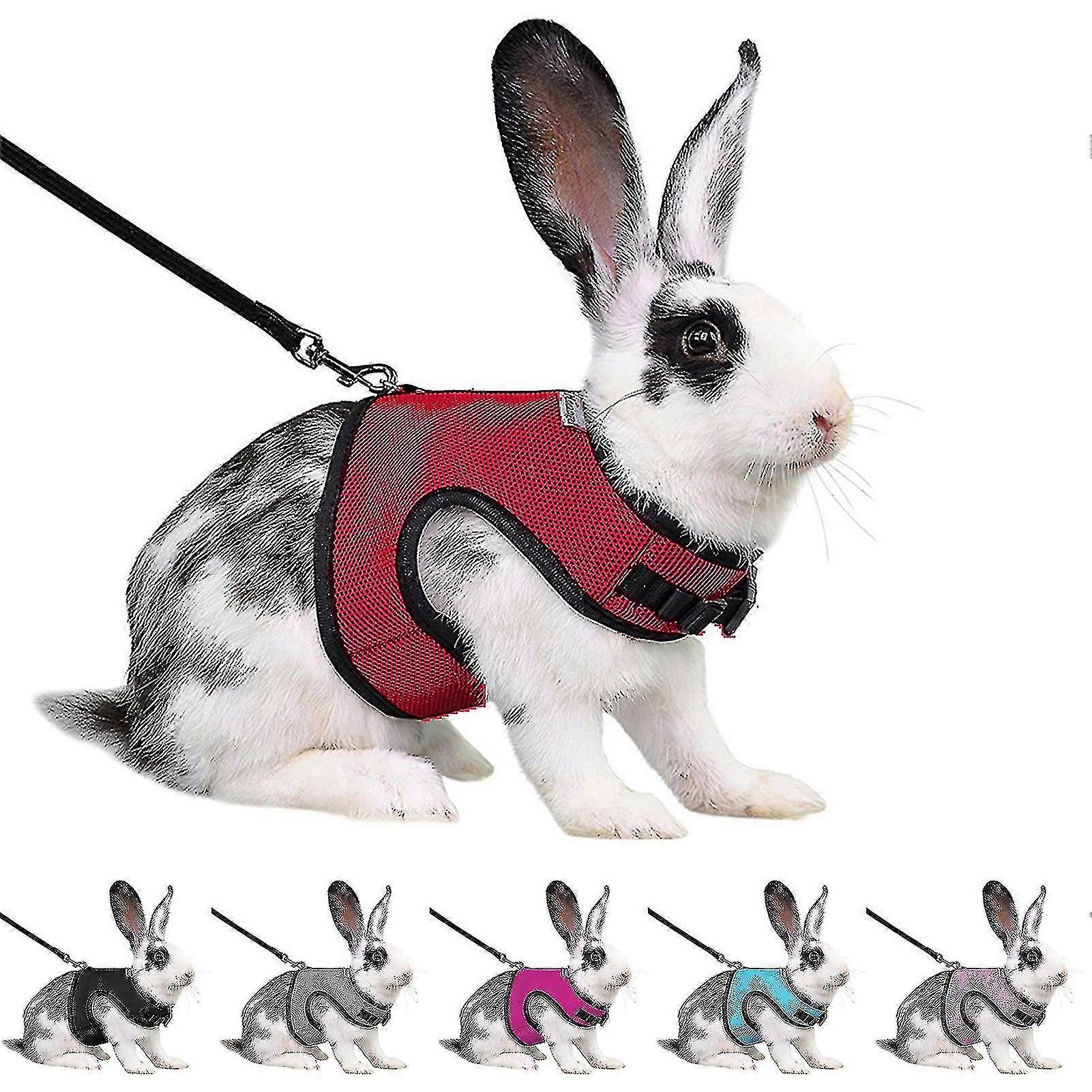 Harness Comfortable Adjustable Traction Tool Ferret Rats Soft Mesh Harness Leash Vest Set Pet