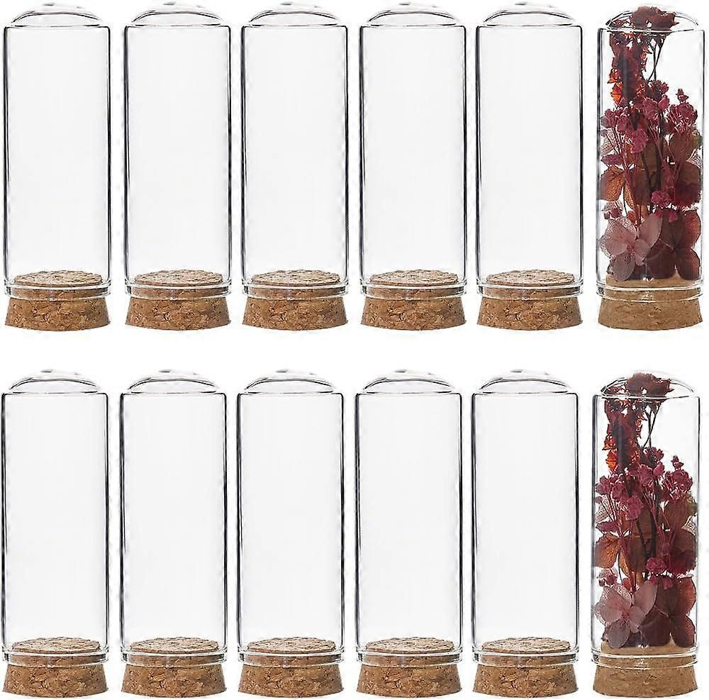 12Pcs Mini Cloche Dome 30x80m Mini Display Bell Jar with Cork Base 40ml Glass Dome Cover Mini Dome Glass Cloche Bell Jar Decorative Vial for Flower St