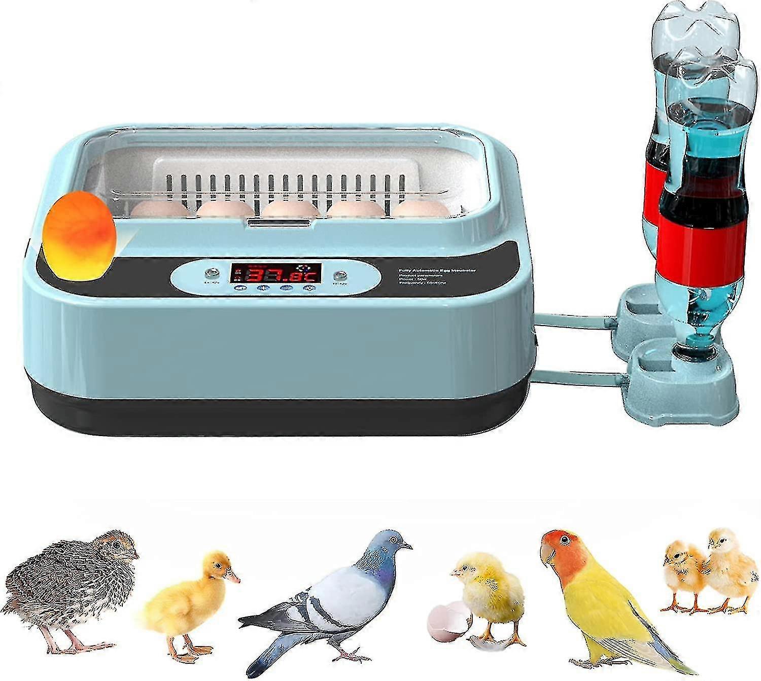 2024 9 12 15 24 64 Automatic Egg Incubators For Chickens Incubators For Hatching Eggs Automatic Temperature Monitoring 9