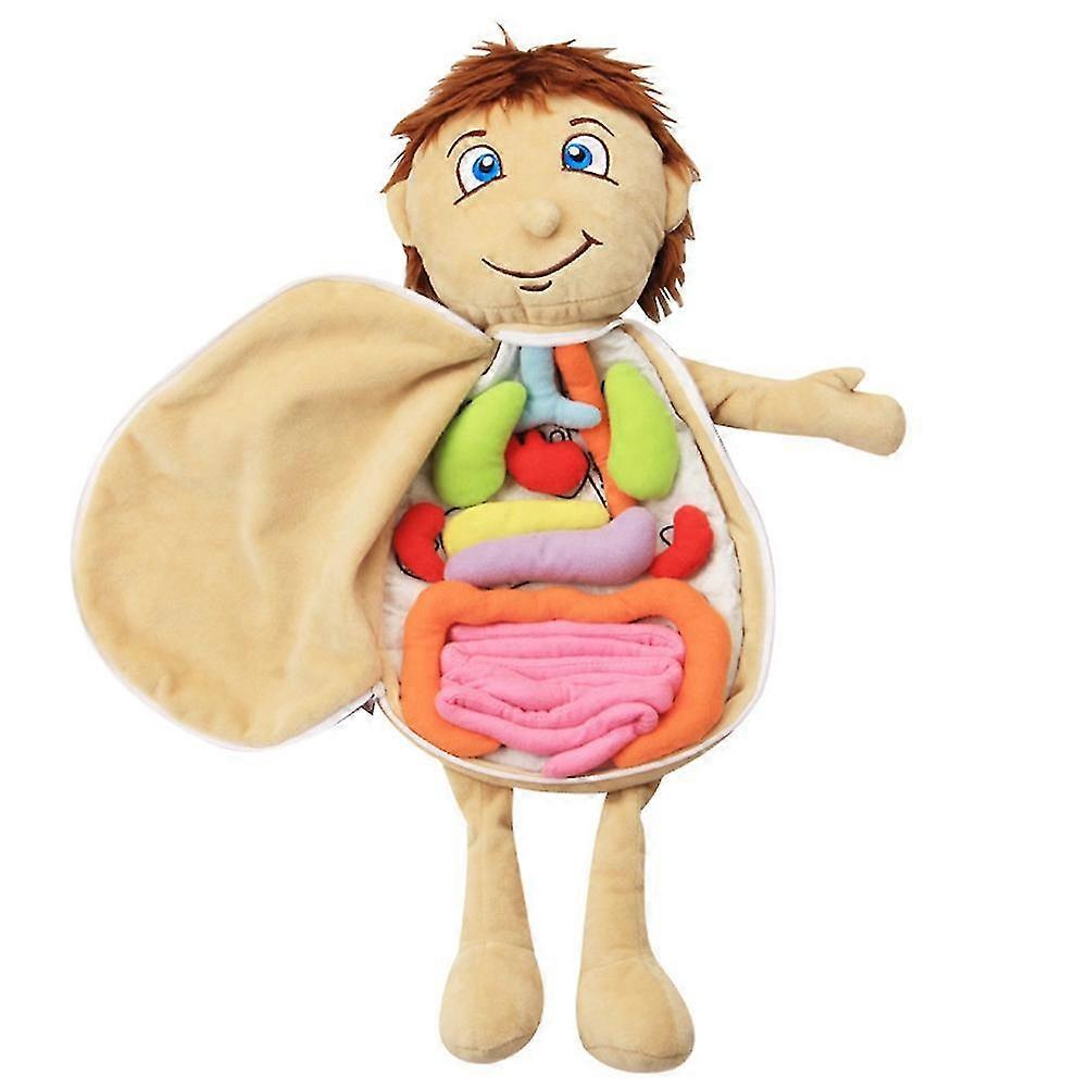 Kids Assembled Plush Body Organs Toy Human Body Anatomy Plush Doll Science Teaching Aids Tool Educa
