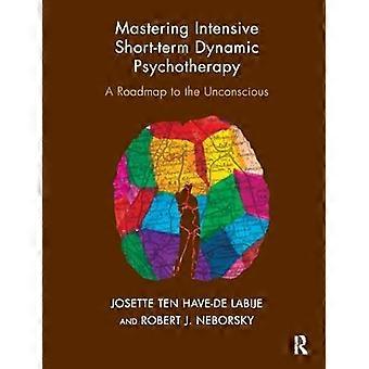 Mastering Intensive Short Term Dynamic Psychotherapy A Roadmap to the Unconscious
