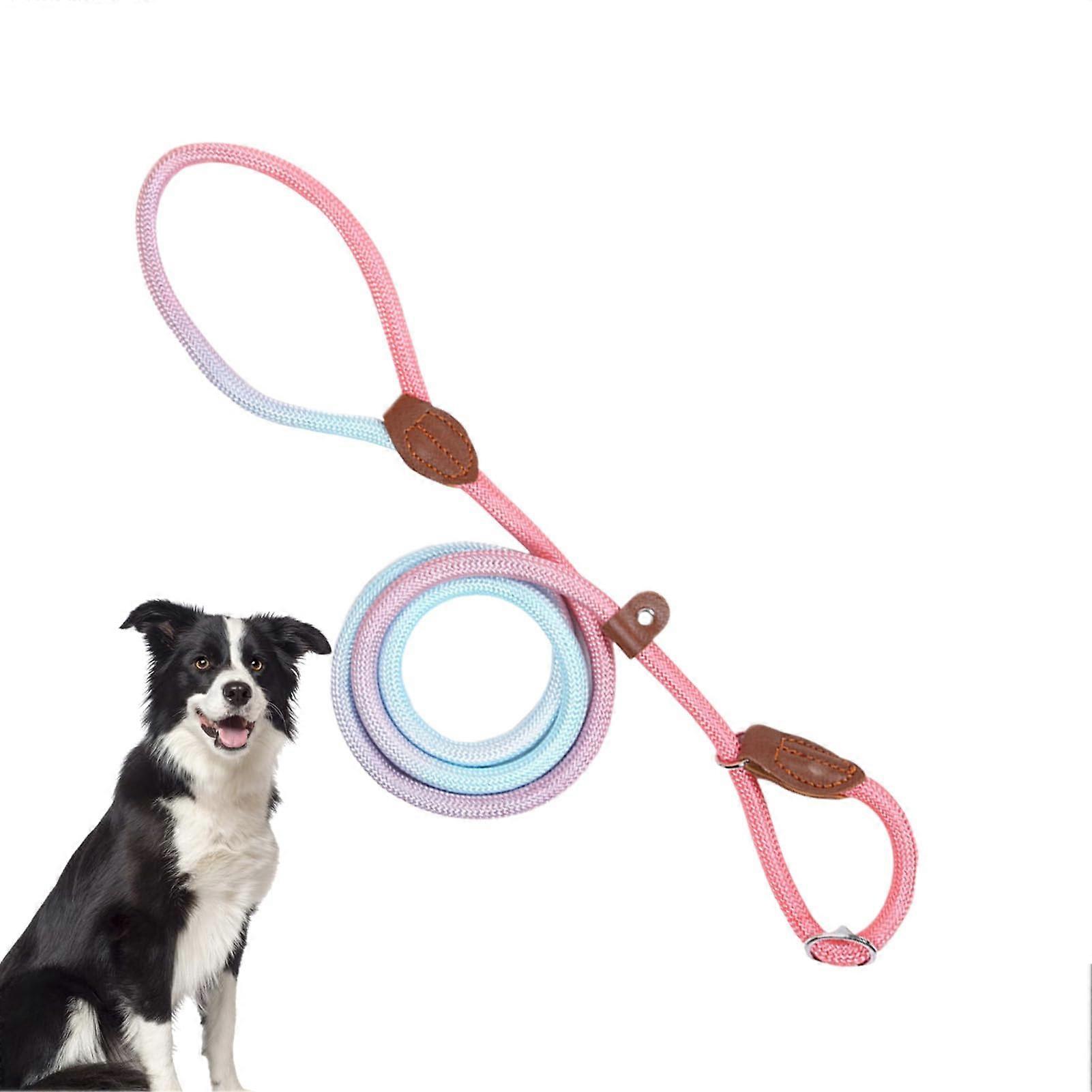 NoPull Puppy Harness Adjustable Nylon Leash for Small Medium Dogs Purple M Ref: 5608