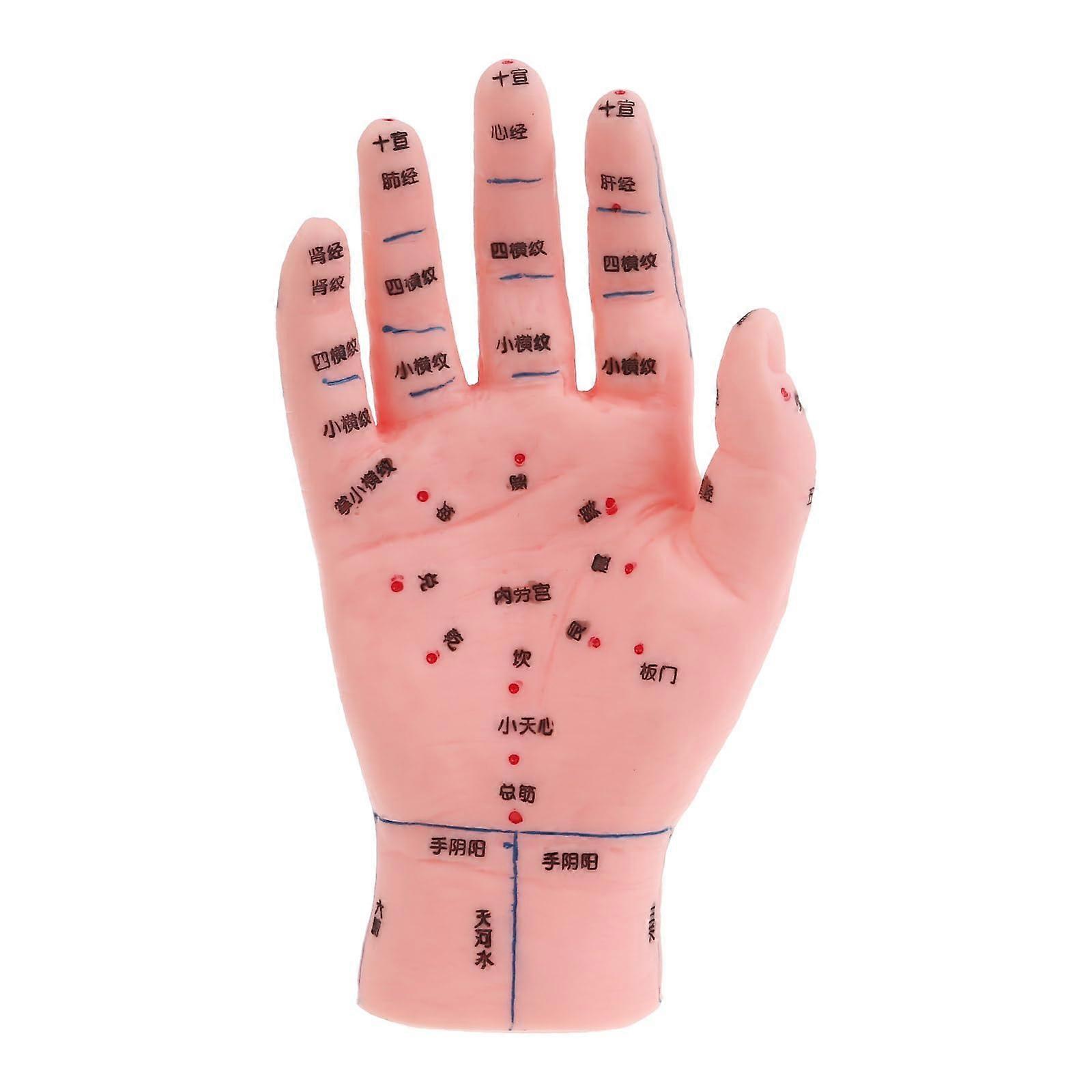 Ear Hand Foot Point Model Chinese Acupoint Model Hand Ear Foot Massage Point Model Hand Skin color: 15 cm acupuncture point hand