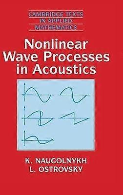 Nonlinear Wave Processes in Acoustics