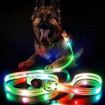 Waterproof Pet Dog Leash USB Rechargeable Fashionable Color Glow in The Dark Night Walk Safety Dog Leash for Medium to Large Dogs