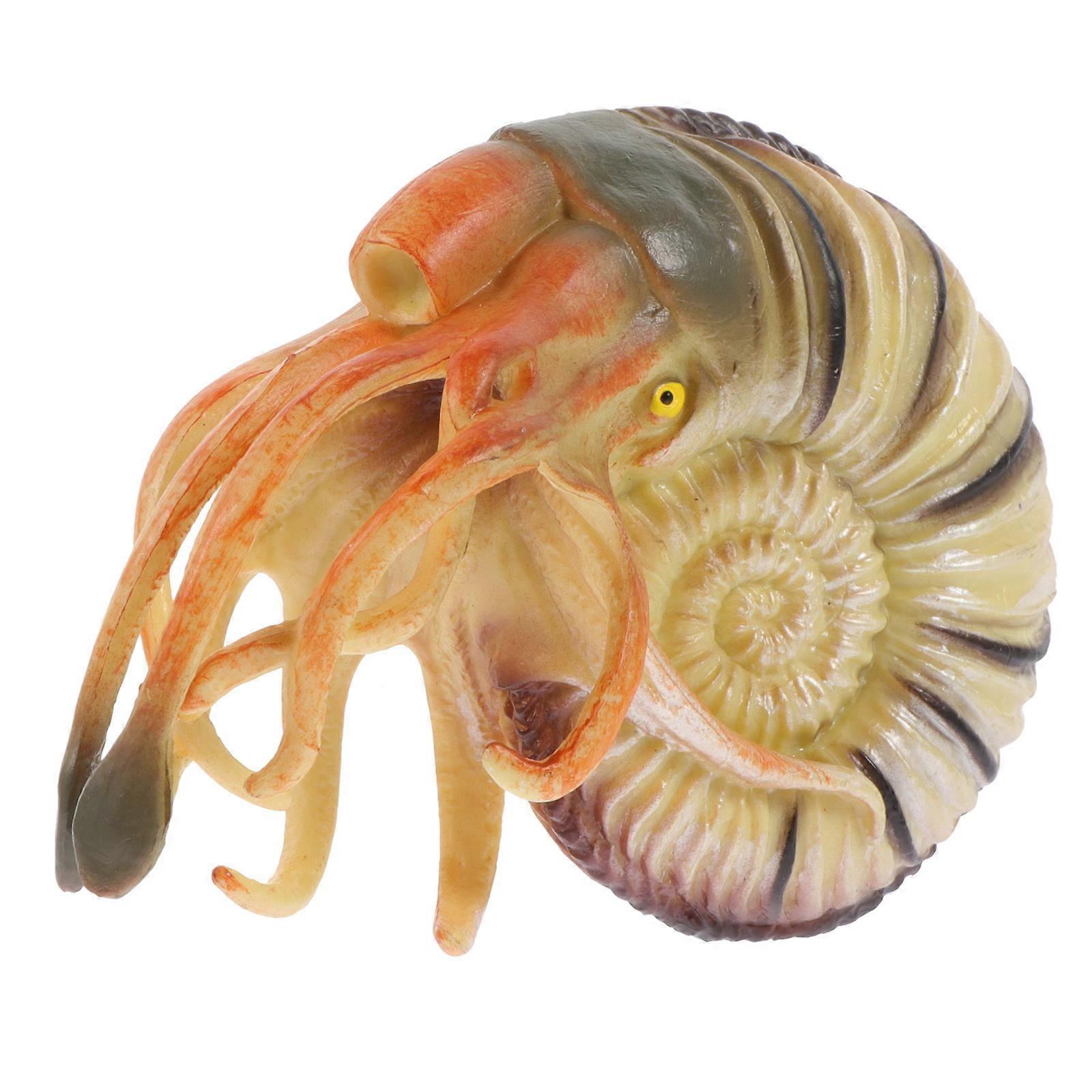 PVC Simulation Nautilus Model for Decorative Use Single Artificial Toy