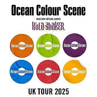 Ocean Colour Scene UK Tour 2025 jigsaw puzzle game for adults and kids ZA0649