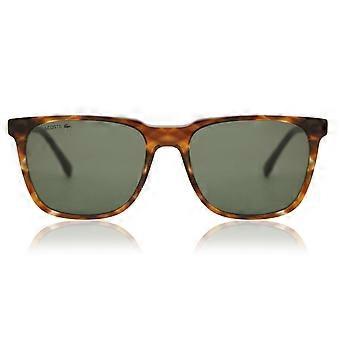 Lacoste L910S 218 täyskehys vaaleanpunaiset Havana-neulaslasit miehille alkuperäiset UV3-mallit