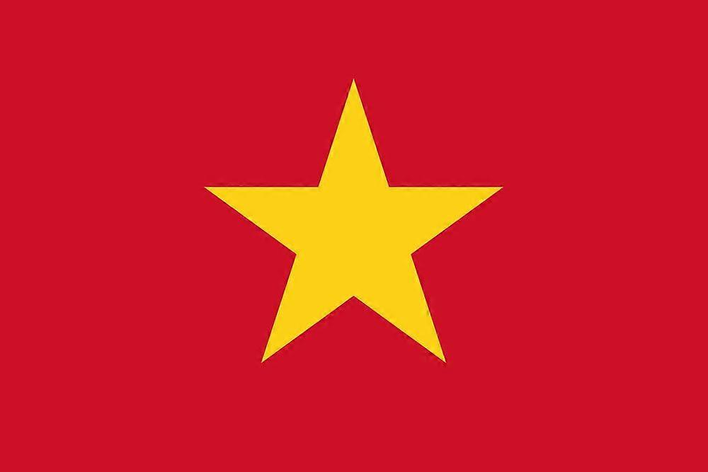 Vietnam Flag CU0325