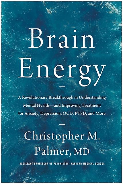 Brain Energy by Christopher M. Palmer Paperback Book