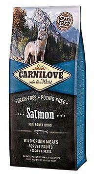Carnilove Erwachsener Lachs (Hunde , Hundefutter , Trockenfutter)