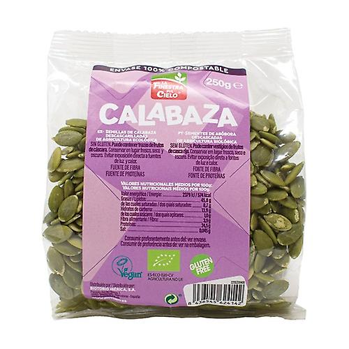 Peeled Pumpkin Seeds Bio 250 g