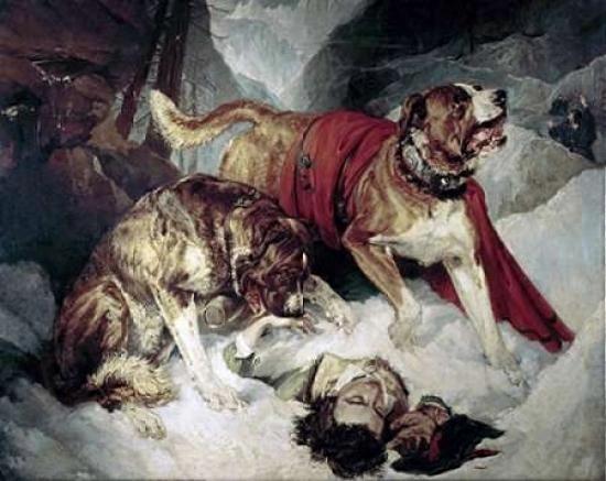Alpine Mastiffs Reanimating a Distressed Traveller Poster