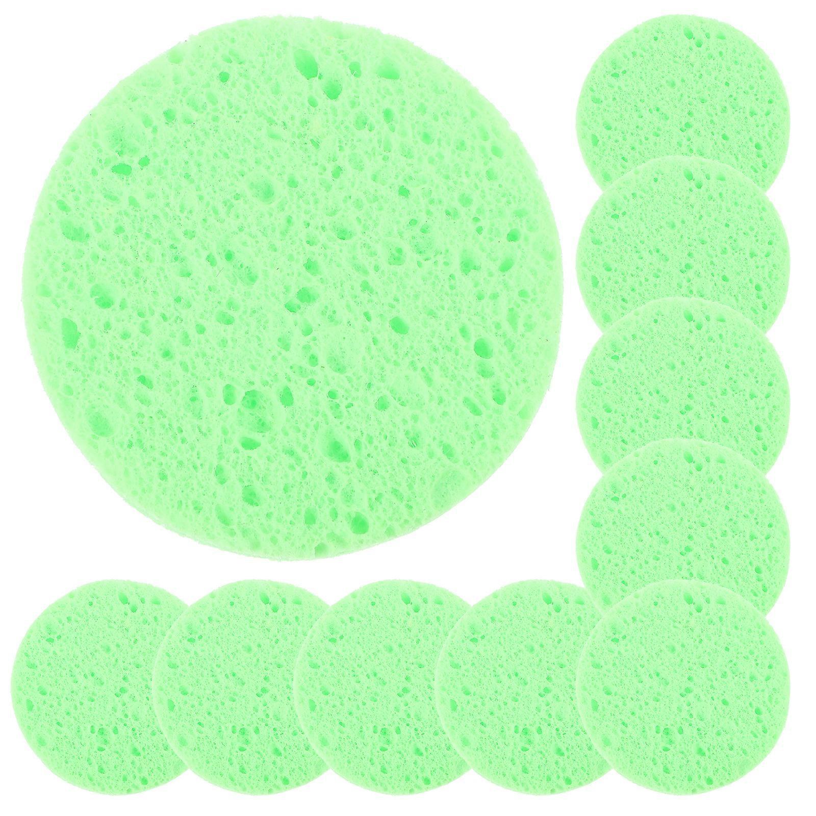 10pcs Crab Humidity Sponge Aquarium Natural Sponge Hermit Crab Natural Sea Sponges