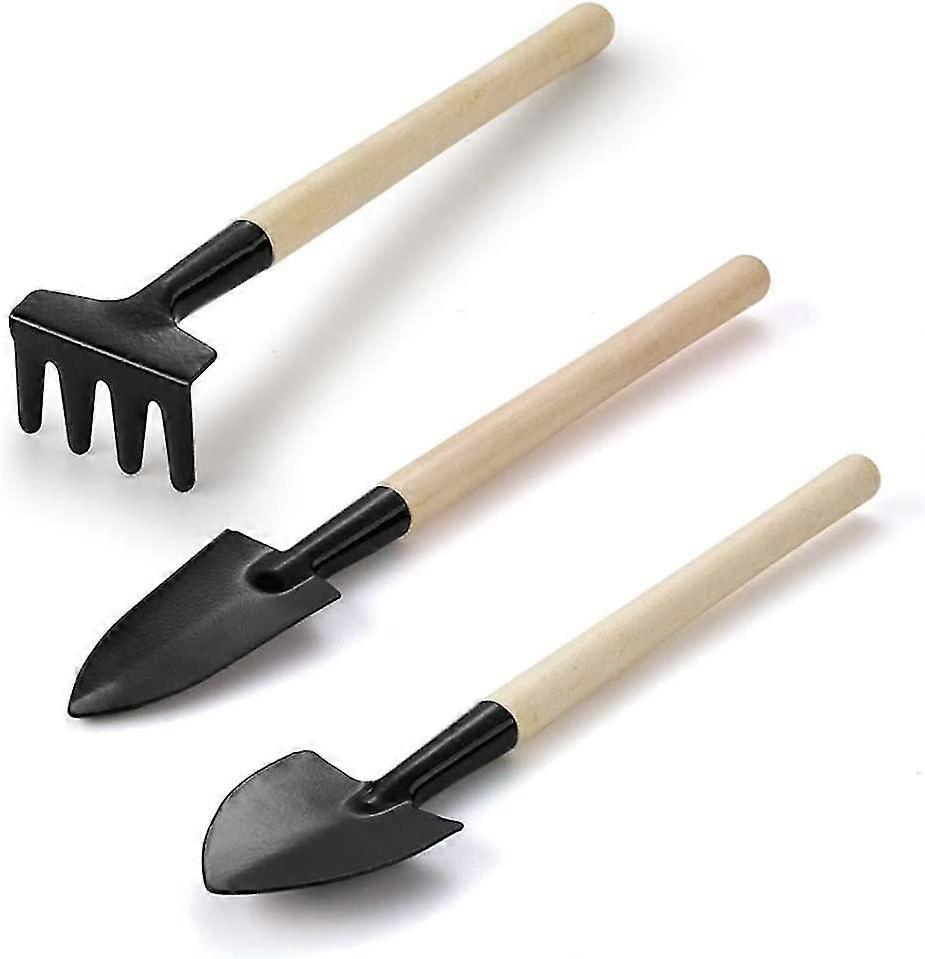 Plant Tools, Mini Garden Hand Transplant Gardening Tool Set, Miniature Succulents Flower Gardening Kit (3 Pieces)