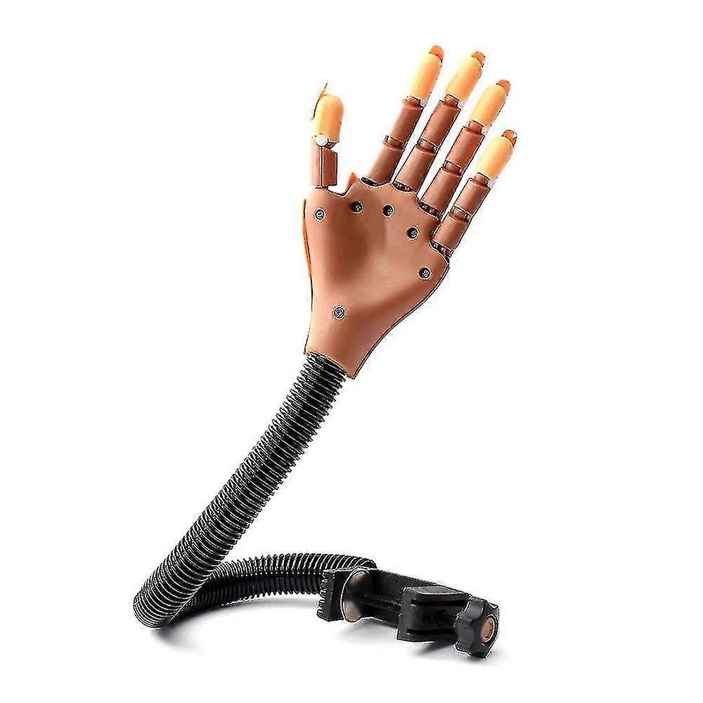Nageltraining Praxis Hand Nagel Display Maniküre Versorgung 1pcsbrown