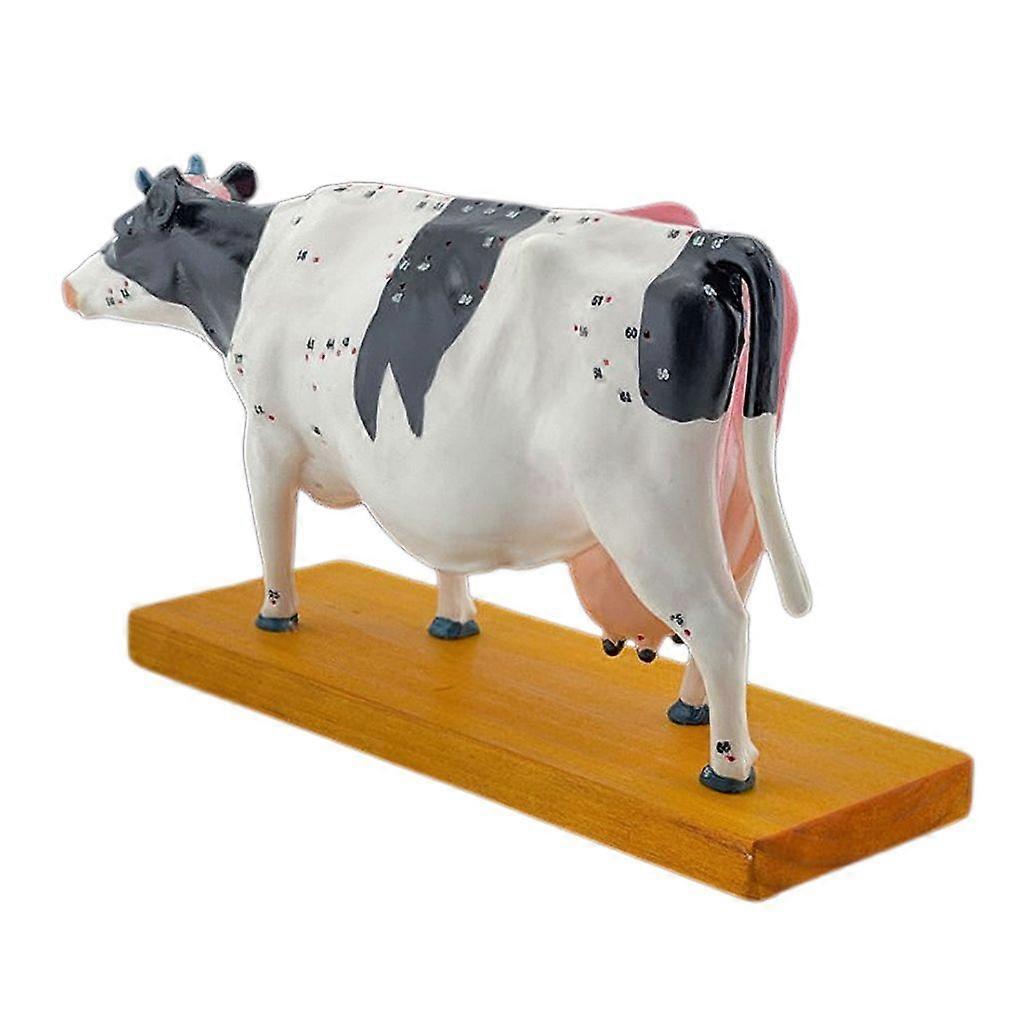 Cattle Anatomy Model Animal Anatomical Model for Veterinary Learning