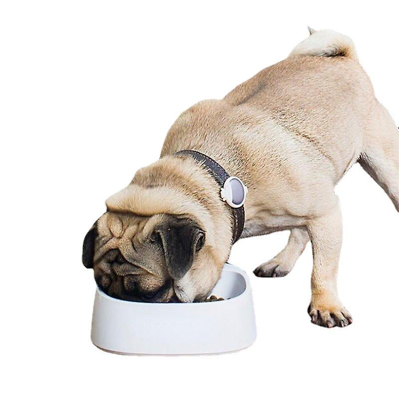 Pet Smart Pet Pet Feedding Bowl Autoxic Ważenie Karma dla psów Miska na karmę dla psów Cyfrowa miska do karmienia Stojak Karmnik dla psów Miski do picia