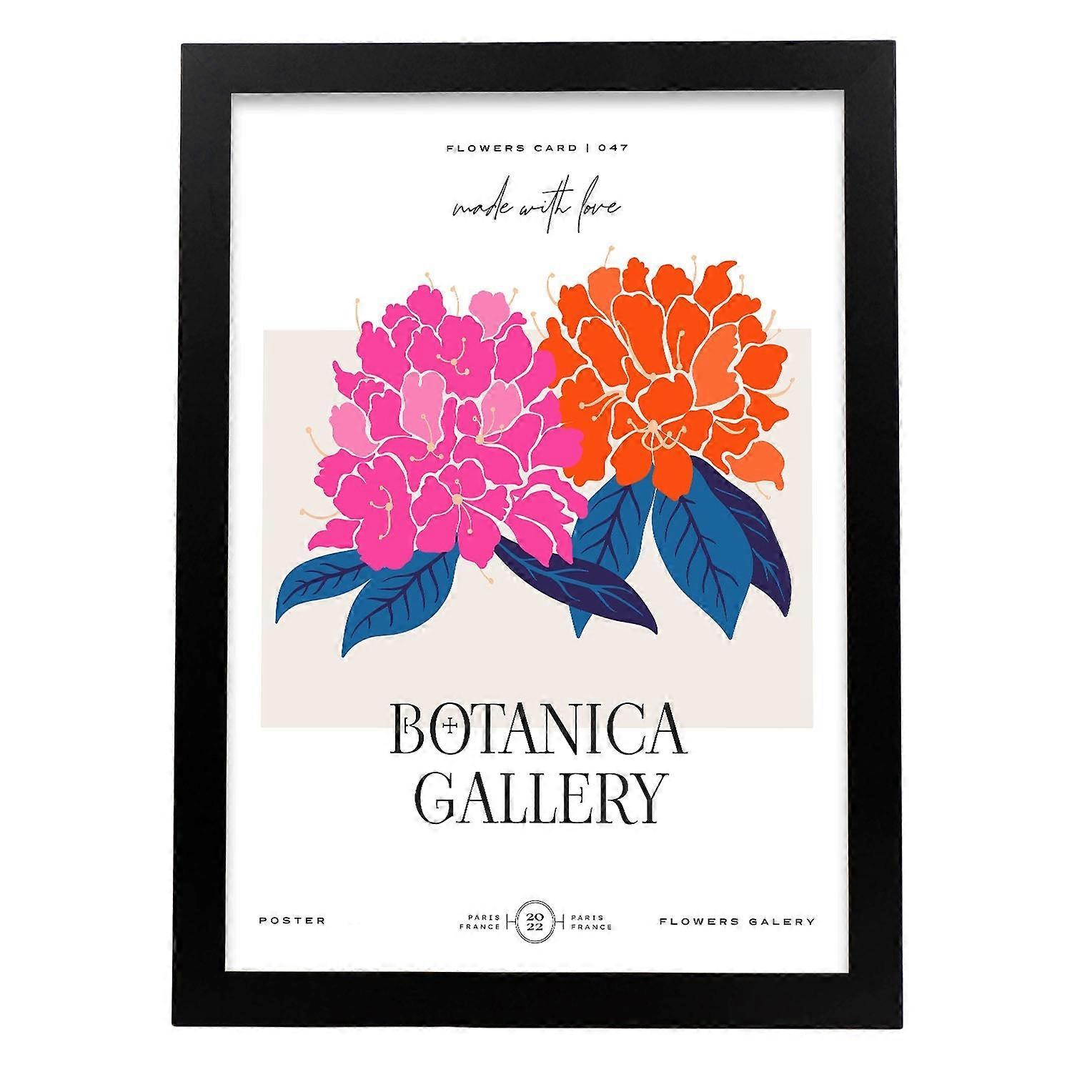 Póster Flores Agapanthus