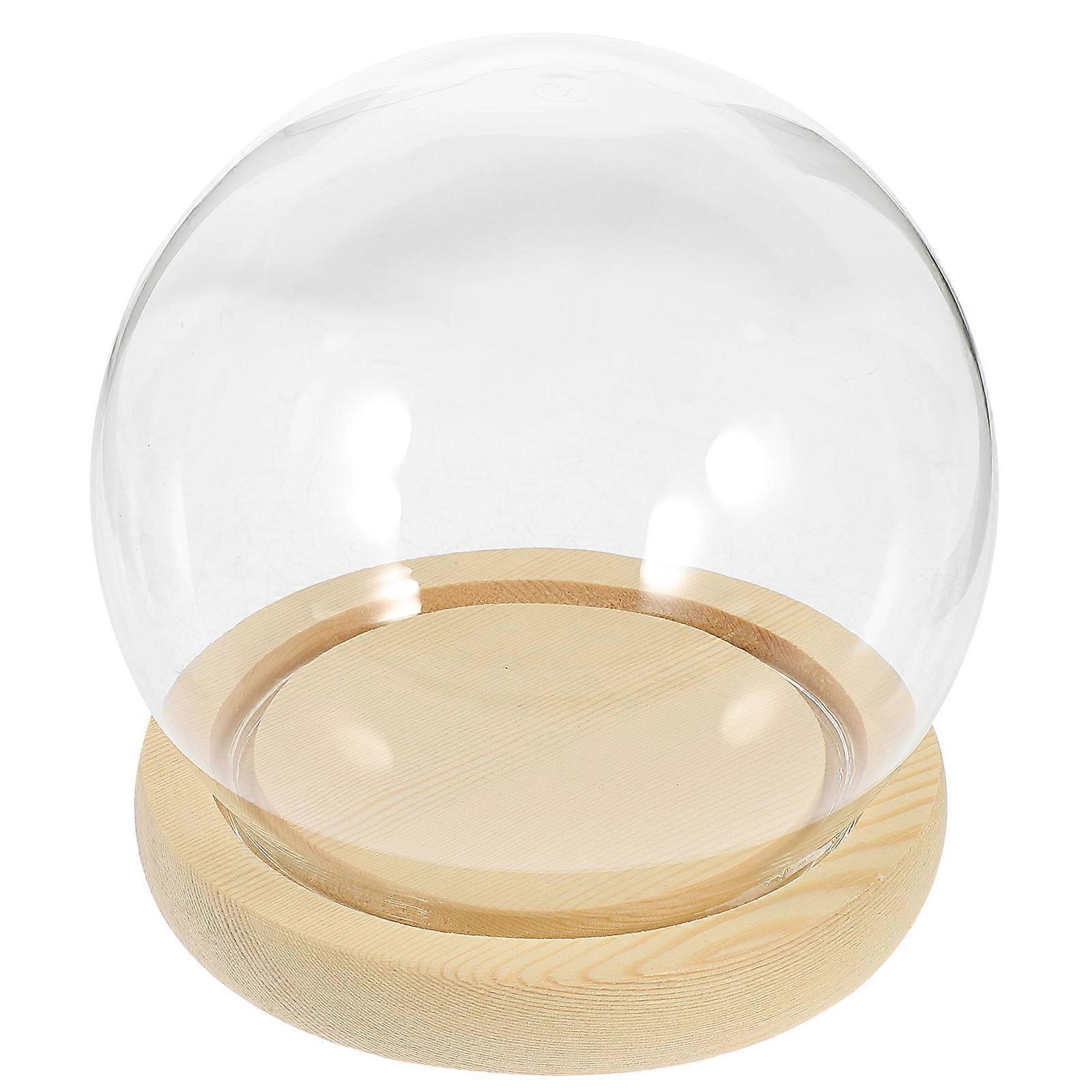 5Pcs Glass Dome with Base for Preserved Flower Display Decor