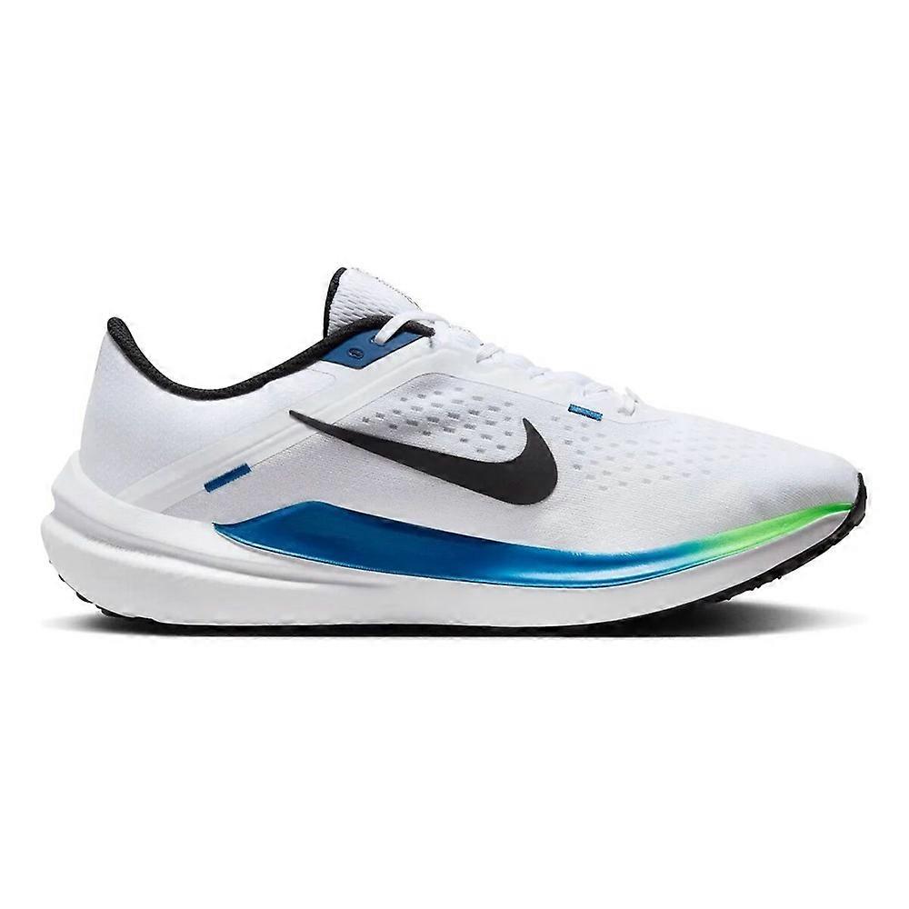 Shoes Nike Air Winflo 10 DV4022103