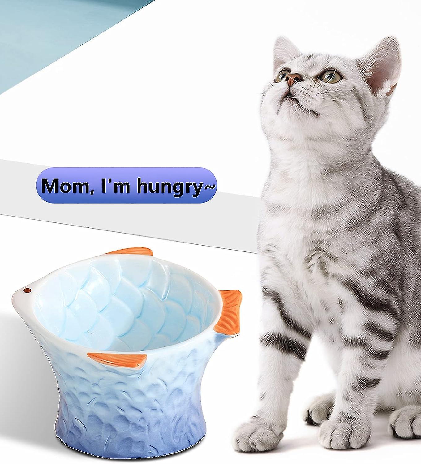 Raised Tilted Ceramic Cat Bowl - Cute Elevated Slanted Shallow Angled Cat Dish