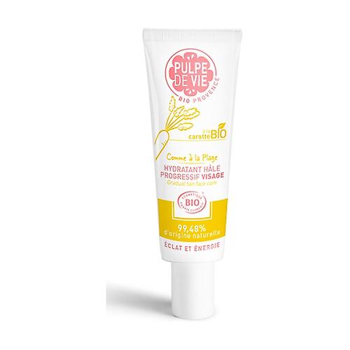 Like at the Beach 40 ml
