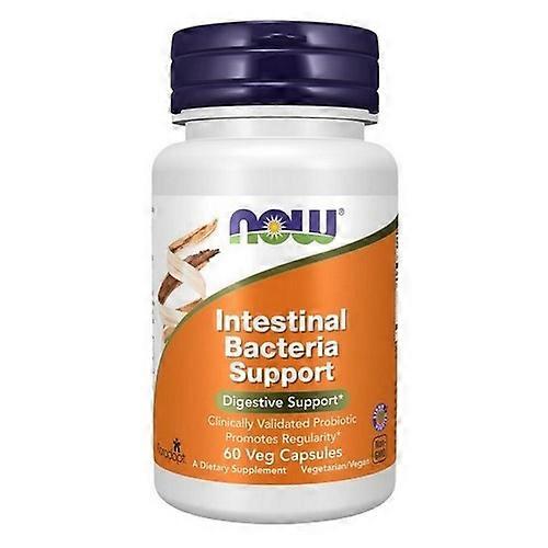 Now Foods Intestinal Bacteria Support ,60 VegCaps