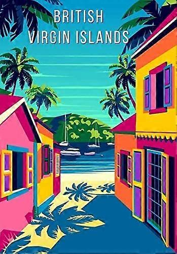 レトロヴィンテージ英領バージン諸島金属錫看板ホームバーカフェレタラント壁の装飾看板12x8インチ