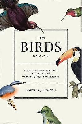 How Birds Evolve