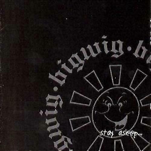 Bigwig Stay Asleep CD (1999)