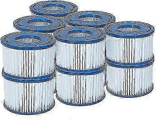 レイズスパホットタブフィルターカートリッジviすべてのレイズスパモデル用-6xツインパック(12フィルター)(hy)