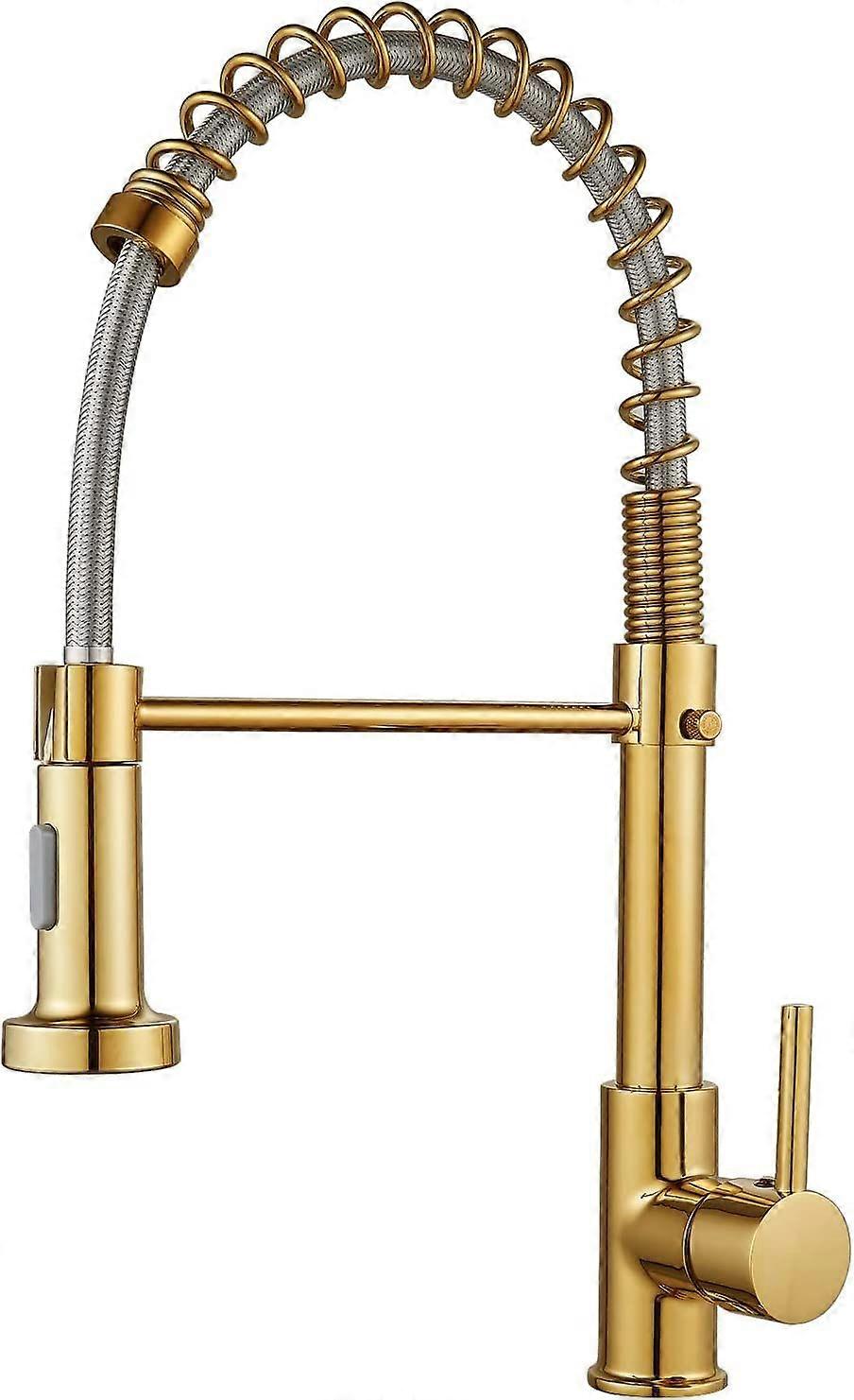 Commerical Kitchen Faucet with Pull Down Sprayer, Single Handle 2 Spout Spring Kitchen Sink Faucet with Lock,Golden