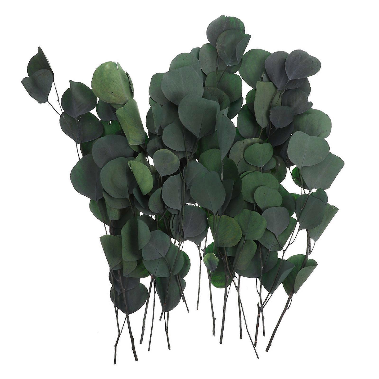 Real Eucalyptus Stems, Easy-to-Use Decorative Elements, Chic Accessories