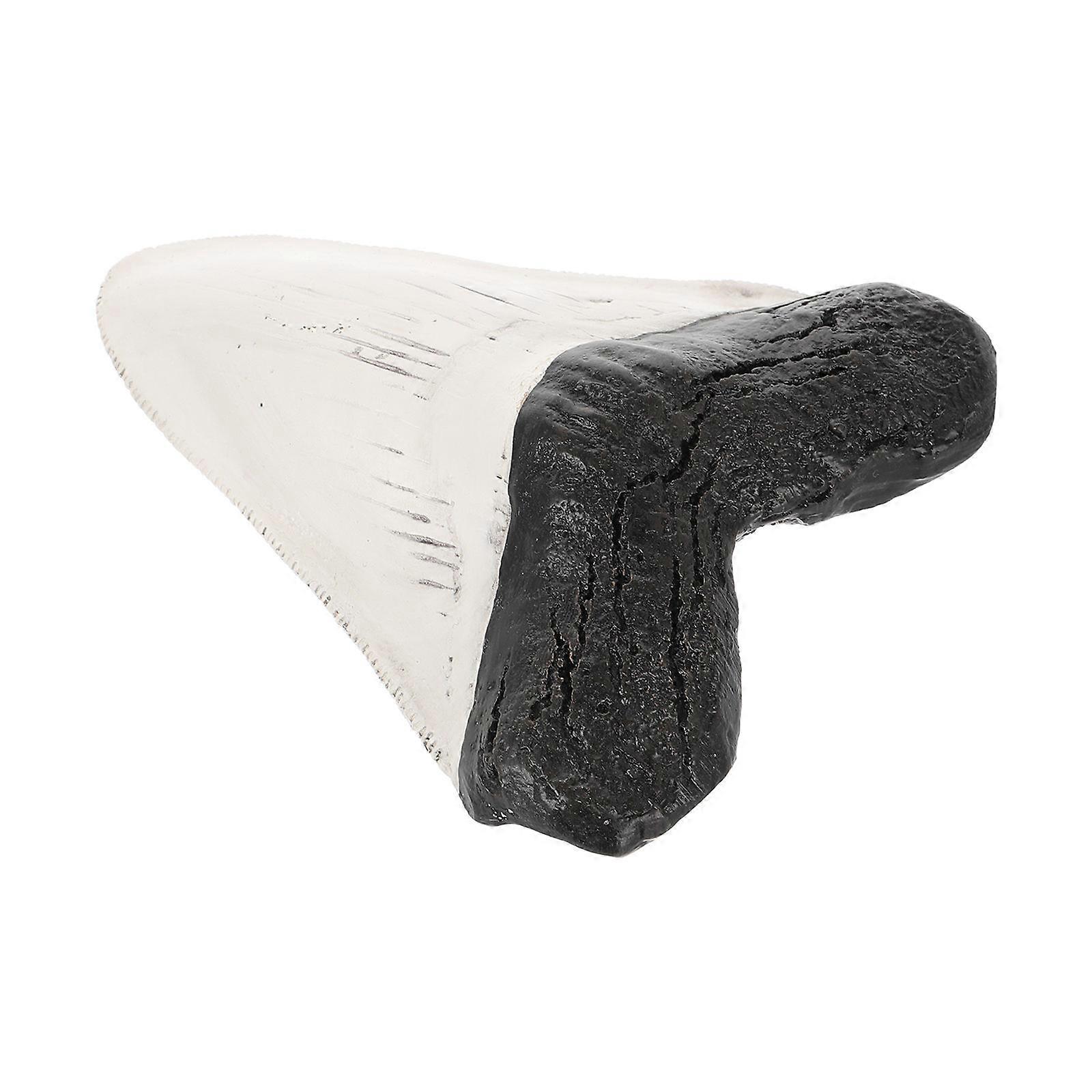 Fossilized Resin Ornament Model, Compact Decorative Figurine for Home Office Collection Education Aquarium Table Display