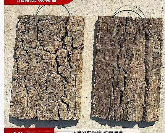 Natural Cork Bark Background For Reptile Terrarium Decorative Tree Bark Backdrop Wall Decor Habitat Accessories For Gecko Lizard Spider Turtle Bearded