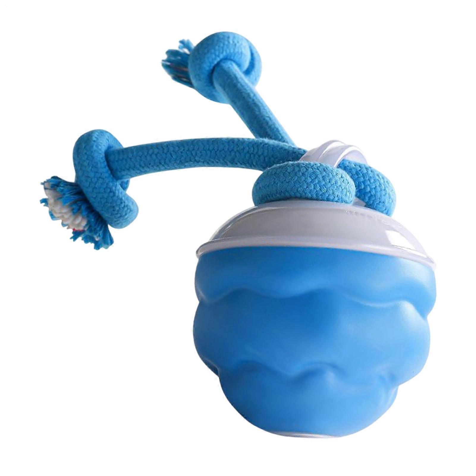 Interactive Dog Toy Ball Remote Control LED Rolling Hoop for Medium Large Dogs USB Rechargeable Squeaky Toy