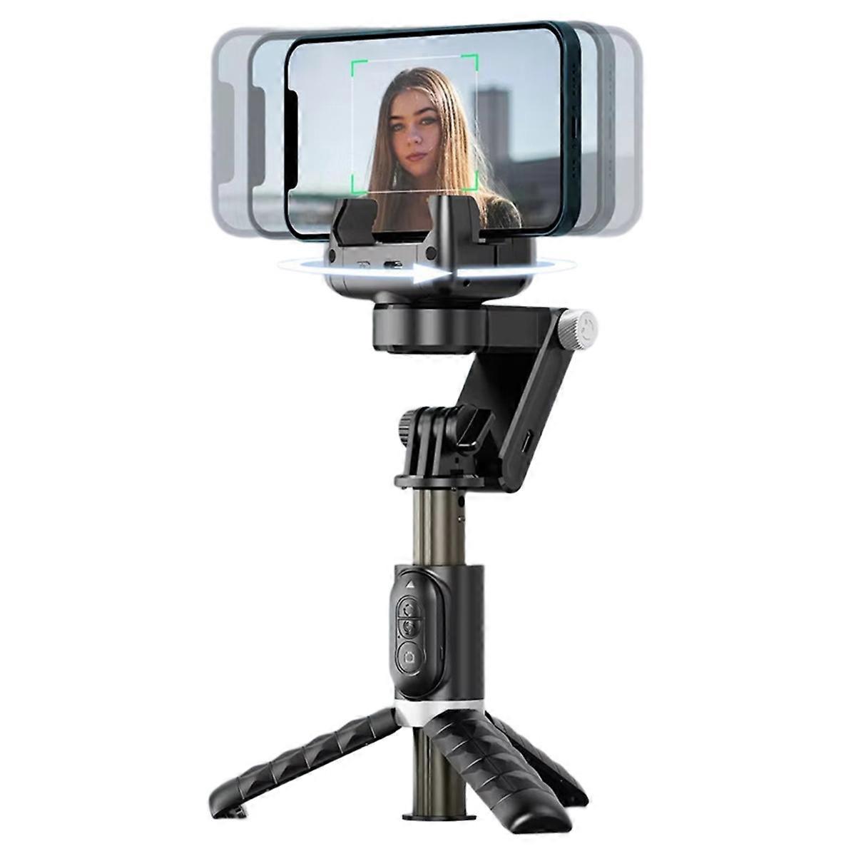 Wireless Selfie Stick Tripod Foldable Stand for Action Cameras Smartphones Balance Steady with Microphone