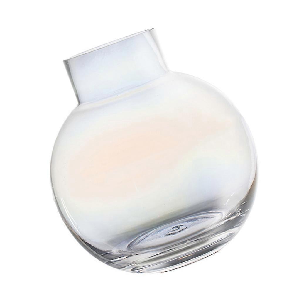 Decorative Flower Arrangement Vase for Hydroponic Use 2Pcs Set